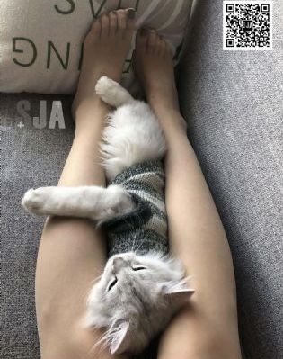 韩国BD影片_1080在线观看电视